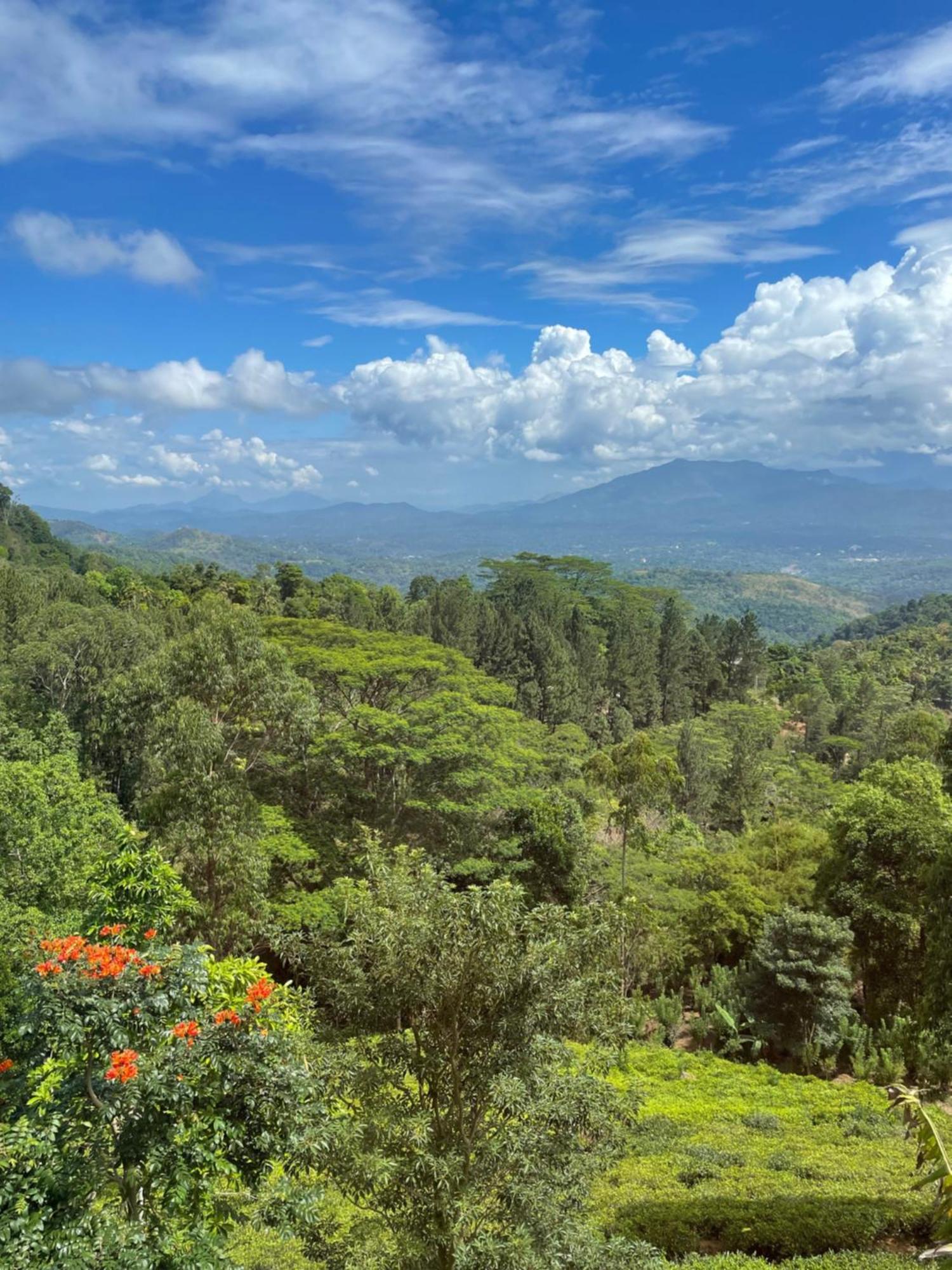 Bellwood Hills Resort & Spa Kandy Ngoại thất bức ảnh