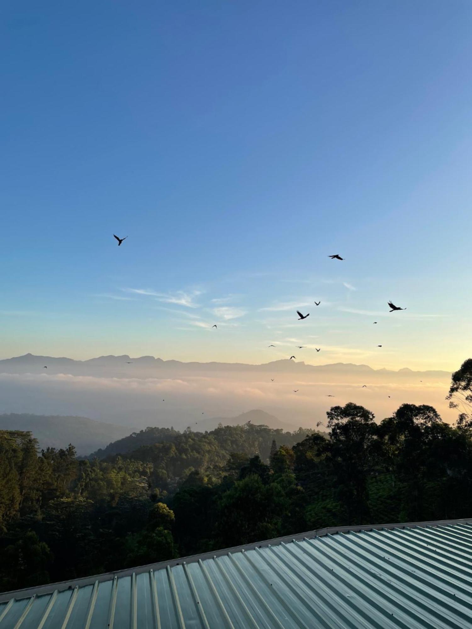 Bellwood Hills Resort & Spa Kandy Ngoại thất bức ảnh