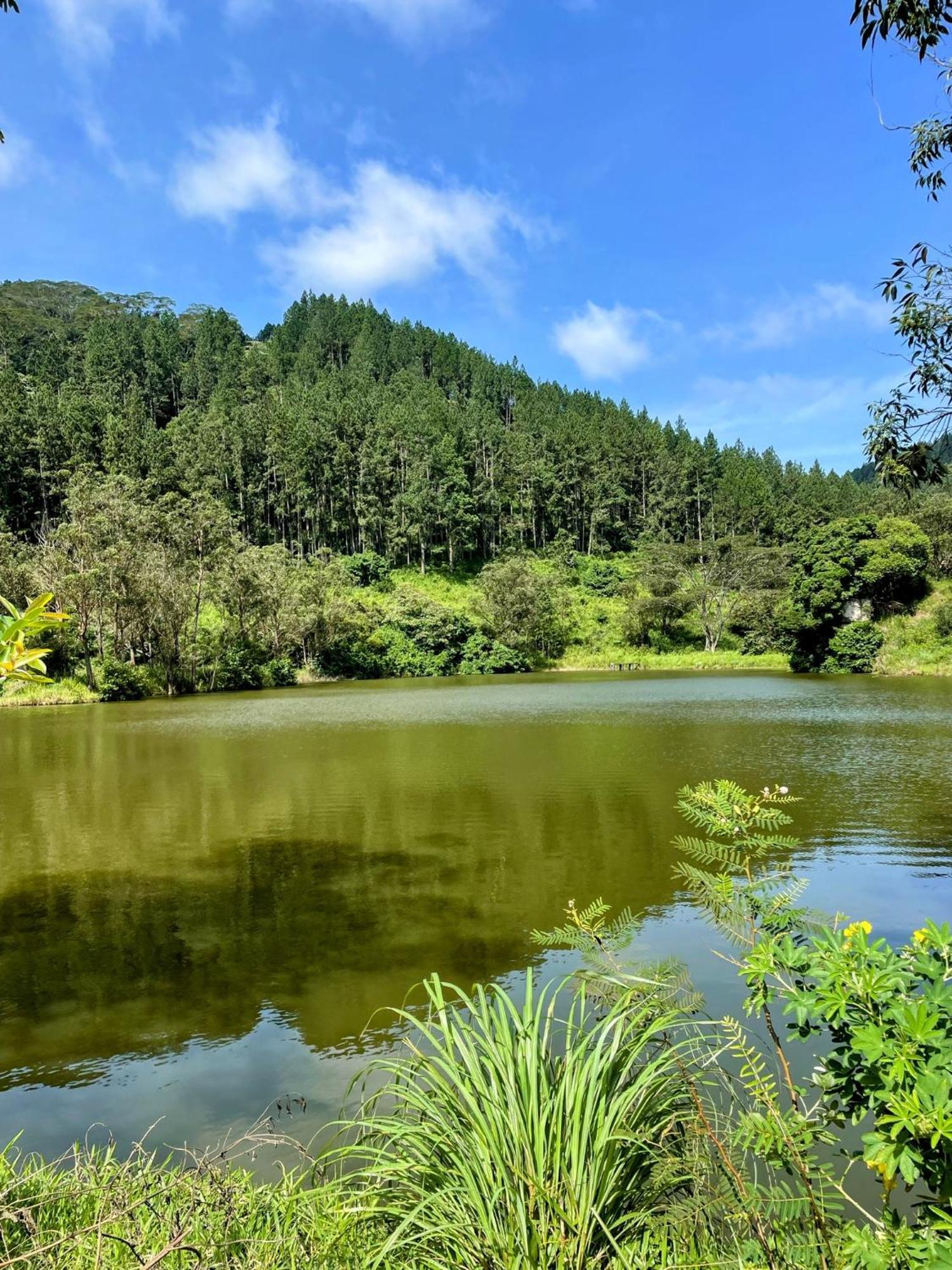 Bellwood Hills Resort & Spa Kandy Ngoại thất bức ảnh