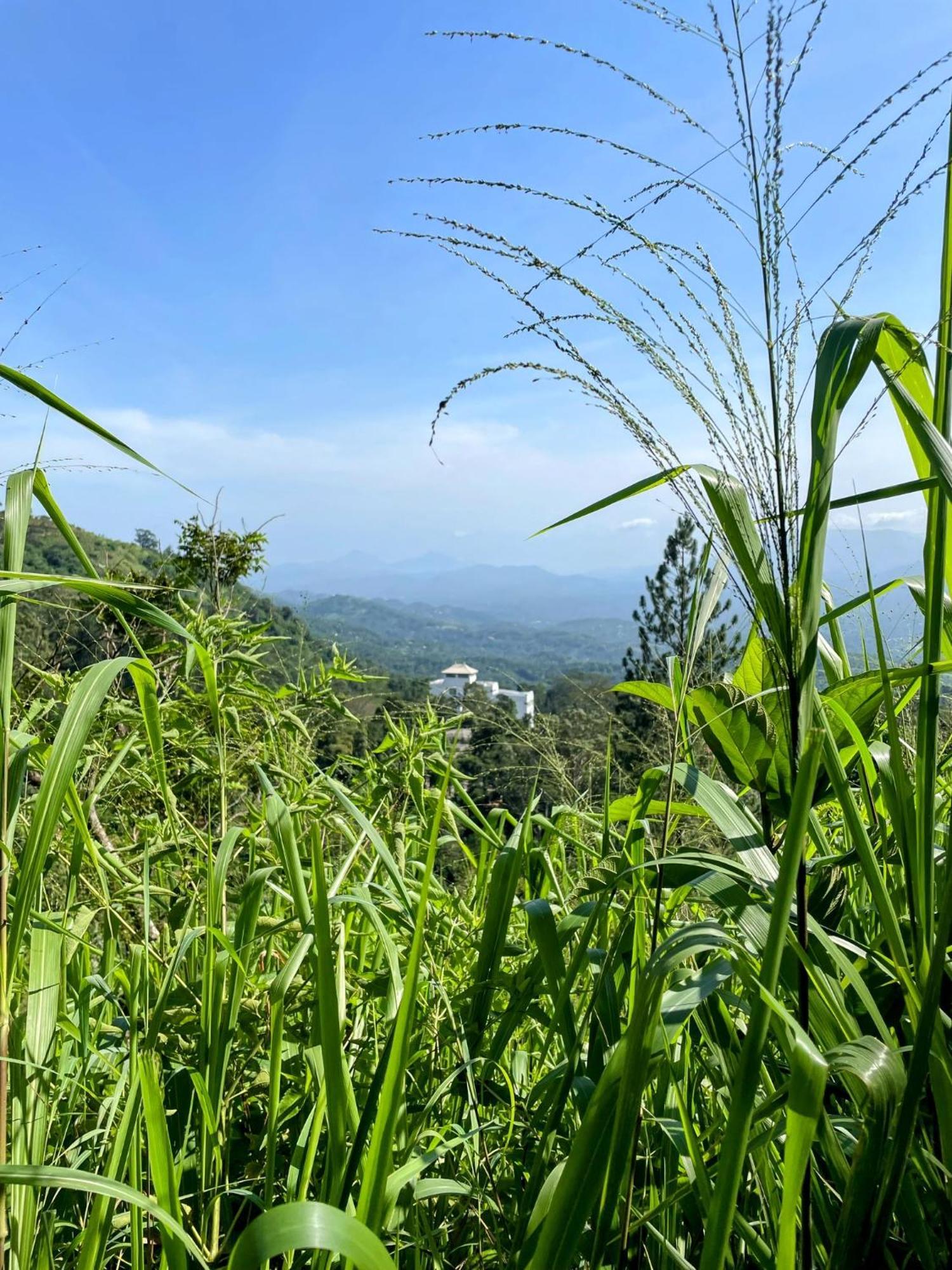 Bellwood Hills Resort & Spa Kandy Ngoại thất bức ảnh